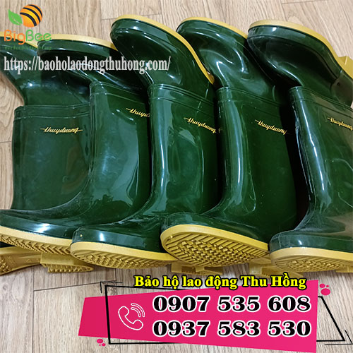 bán ủng Thùy Dương 2 màu rêu vàng