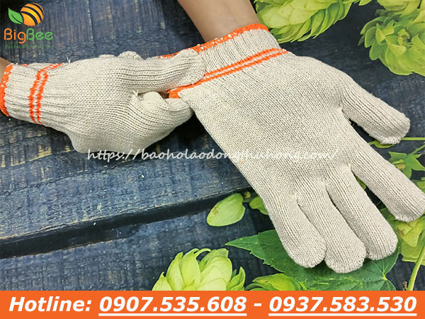bao tay len kem cotton bảo hộ nam nữ