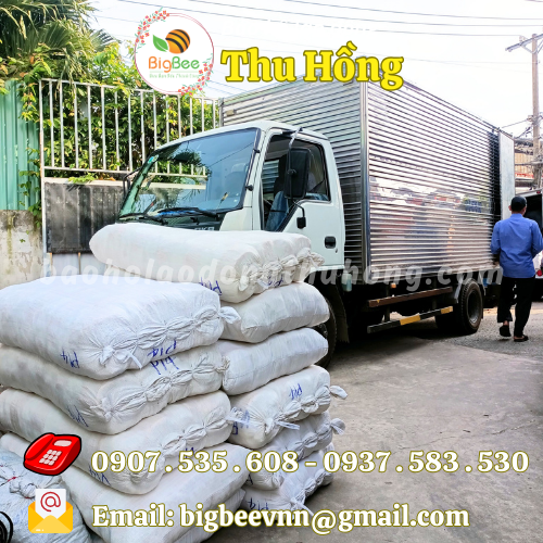 Bao tay poly 40g, 50g, 60g, 70g đóng bao 500 đôi Bao tay poly 40g, 50g, 60g, 70g đóng bao 500 đôi