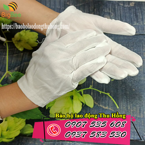 Bao tay thun trắng mỏng L+2