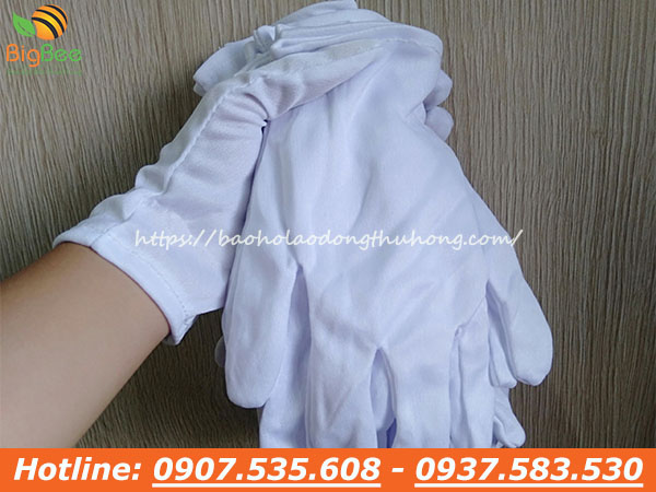 bao tay thun trắng mỏng T8+1 giá rẻ mua ở đâu?