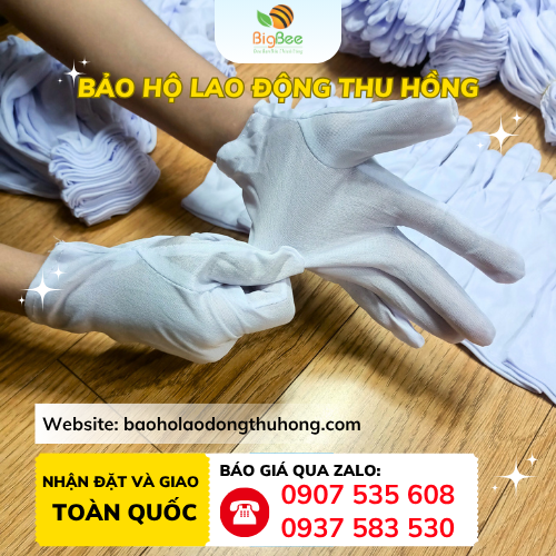 Bao tay thun trắng T10 Bao tay thun trắng T10 co giãn nhẹ, ôm sát tay