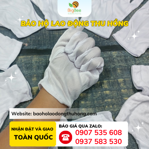 Bao tay thun trắng T10 Bao tay thun trắng T10 giá rẻ tiết kiệm cho ngành điện tử