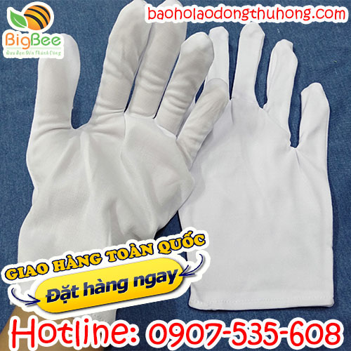 Bao tay thun trắng T9+1