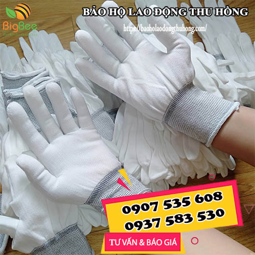 Bao tay thun trắng trơn giá rẻ cạnh tranh cho khách sỉ