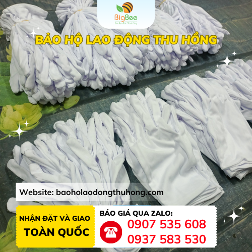 Bao tay vải T9 bó 10 đôi sản xuất số lượng lớn Bao tay vải T9 bó 10 đôi sản xuất số lượng lớn