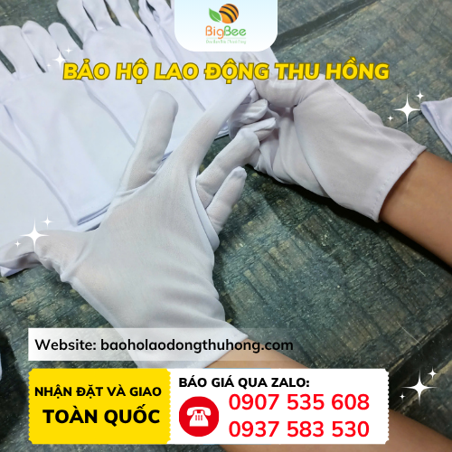 Bao tay vải T9 mềm mịn Bao tay vải T9 mềm mịn