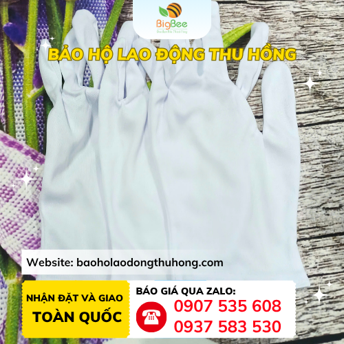 Bao tay vải T9 trắng Bao tay vải T9 trắng