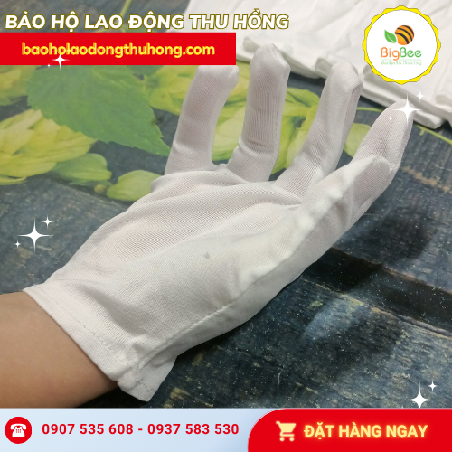 Bao tay vải thun L+2 cho công việc nhẹ Bao tay vải thun L+2 cho công việc nhẹ