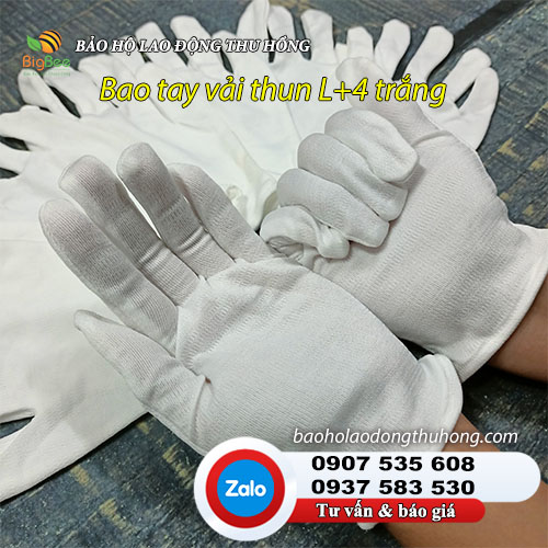 Bao tay vải thun L+4 màu trắng cho công nhân 02 Bao tay vải thun L+4 màu trắng cho công nhân 02
