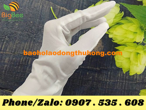 bao tay vải thun trắng L+2 vải đẹp, bền lâu, thoáng mát