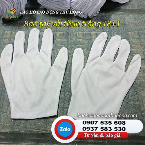 Bao tay vải thun trắng T8+1 freesize nam nữ 01 Bao tay vải thun trắng T8+1 freesize nam nữ 01