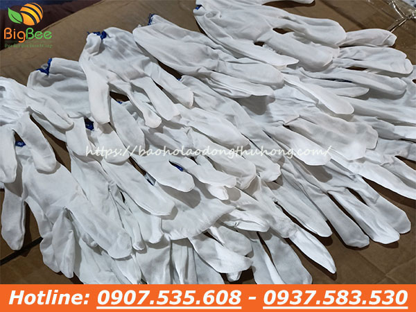 bao tay vải trắng T5