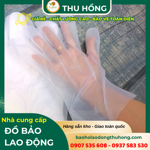 Bao tay xốp zin nam nữ trong suốt Bao tay xốp zin nam nữ trong suốt