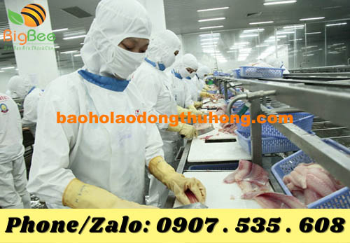 chỉ cách chọn găng tay cao su chế biến thủy sản dai bền