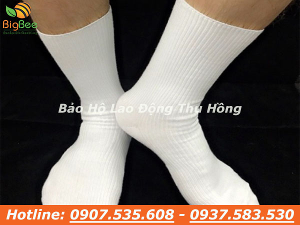 chuyên sỉ vớ cotton trắng co giãn, thoáng mát giá rẻ số 1