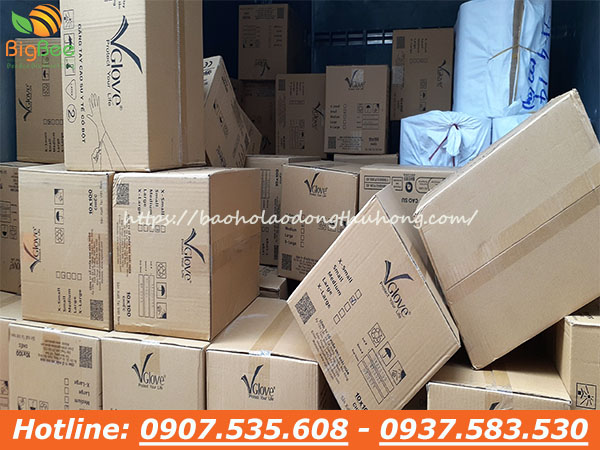 Cung cấp găng tay y tế Vglove có bột giá rẻ nhất