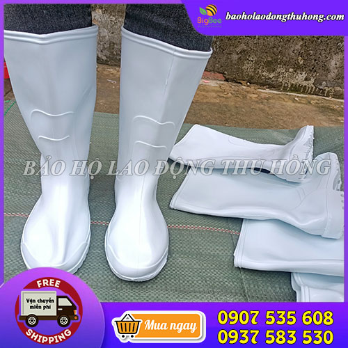 Cung cấp ủng cao su trắng TGP giá rẻ Cung cấp ủng cao su trắng TGP giá rẻ