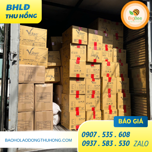 Găng tay y tế Vglove đủ size giá sỉ cạnh tranh Đặt hàng găng tay y tế Vglove đủ size, giá sỉ cạnh tranh