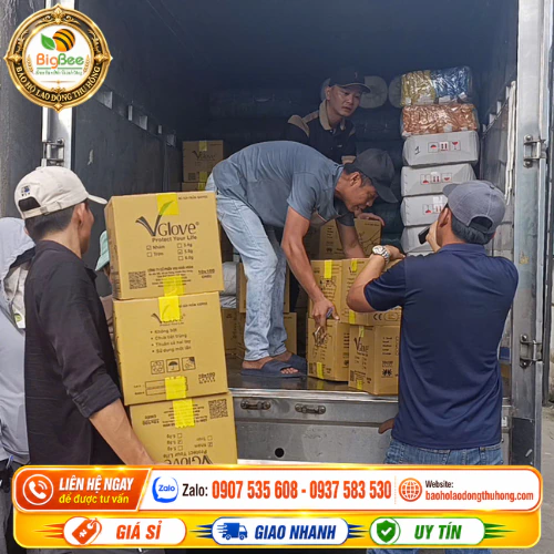 Đi hàng găng tay y tế không bột Vglove nguyên thùng Đi hàng găng tay y tế không bột Vglove nguyên thùng