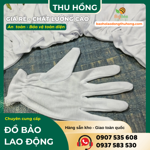 Địa chỉ bán găng tay thun lạnh ráp kẻ giá rẻ Địa chỉ bán găng tay thun lạnh ráp kẻ giá rẻ