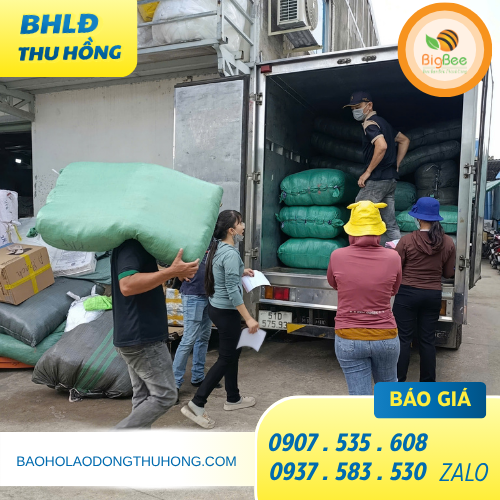 Dịch vụ giao nhanh đèn pin soi ếch tại TPHCM Dịch vụ giao nhanh đèn pin soi ếch tại TPHCM