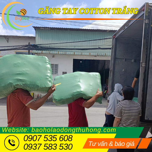 Dịch vụ giao sỉ găng tay cotton trắng tại kho Dịch vụ giao sỉ găng tay cotton trắng tại kho