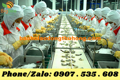 găng tay cao su chế biến thủy sản dai bền 03