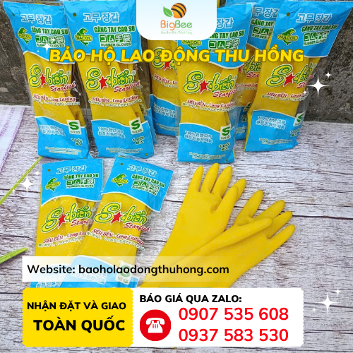 Găng tay sao Biển size S Găng tay cao su gia dụng Sao Biển size S nhỏ gọn