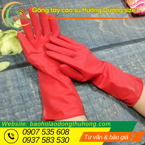 Găng tay cao su Hướng Dương size L siêu dẻo dai, đàn hồi Găng tay cao su Hướng Dương size L siêu dẻo dai, đàn hồi