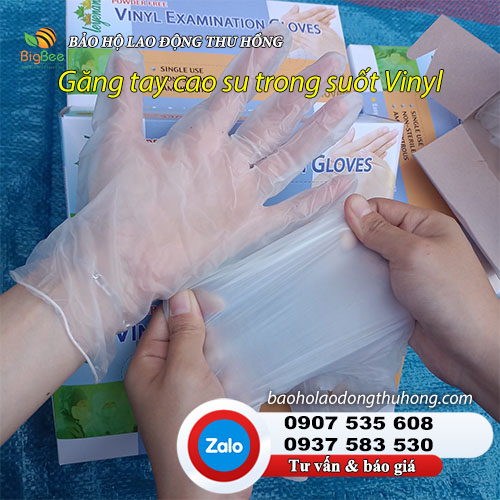 Găng tay cao su trong suốt Vinyl không bột  Găng tay cao su trong suốt Vinyl không bột