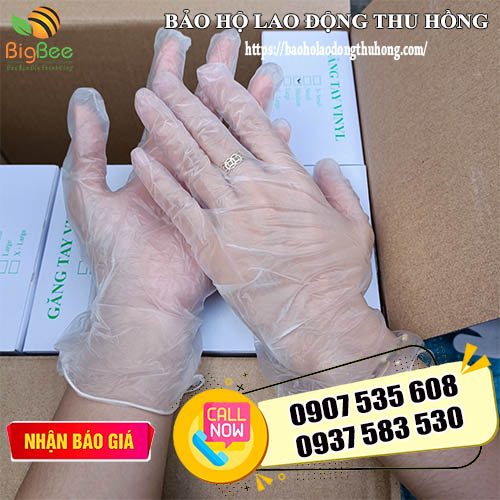 găng tay cao su Vinyl không bột găng tay cao su Vinyl không bột