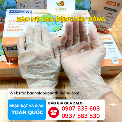 Găng tay cao su Vinyl Top Glove dùng cho ngành thực phẩm và y tế Găng tay cao su Vinyl Top Glove dùng cho ngành thực phẩm và y tế