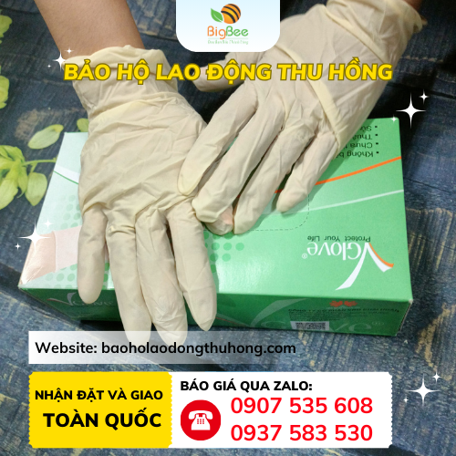 Găng tay cao su y tế không bột Vglove bán chạy Găng tay cao su y tế không bột Vglove bán chạy nhất hiện nay