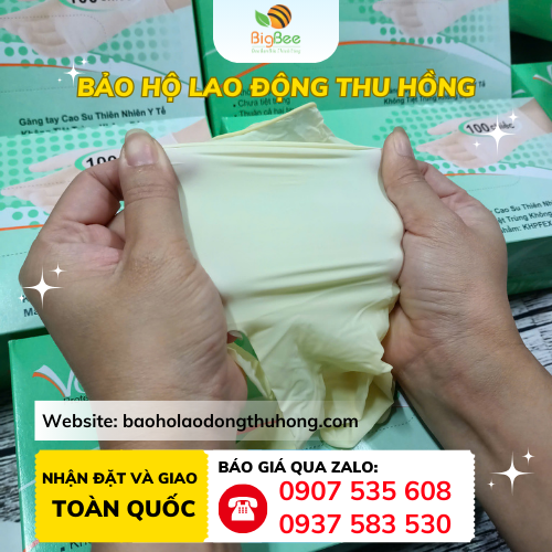 Găng tay cao su y tế không bột Vglove đủ size XS - XL Găng tay cao su y tế không bột Vglove đủ size XS - XL