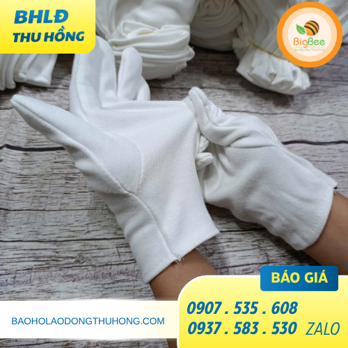 Găng tay cotton màu trắng sạch sẽ cho mọi công việc Găng tay cotton màu trắng sạch sẽ cho mọi công việc
