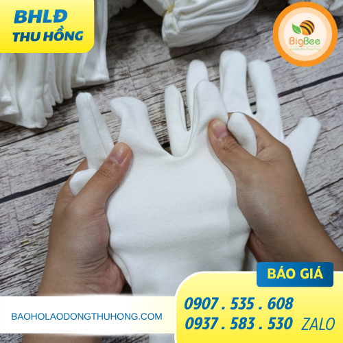 Găng tay cotton màu trắng siêu co giãn Găng tay cotton màu trắng siêu co giãn