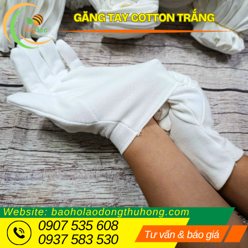 Găng tay cotton trắng xỏ ngón tiện lợi Găng tay cotton trắng xỏ ngón tiện lợi