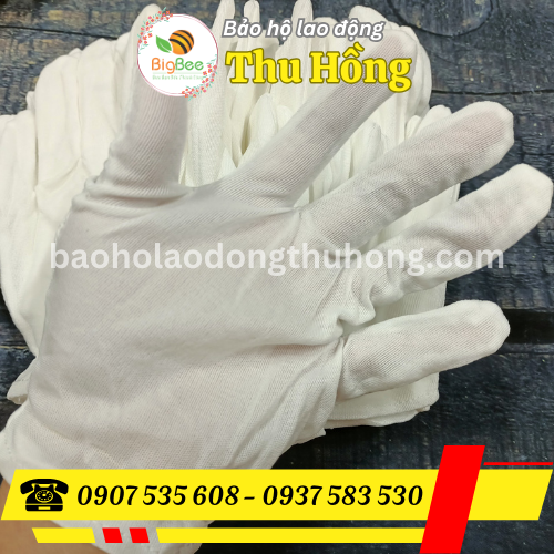 Găng tay thun L+2 Găng tay thun L+2