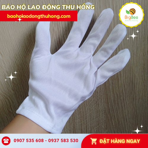 Găng tay thun T8+1 mỏng nhẹ Găng tay thun T8+1 mỏng nhẹ