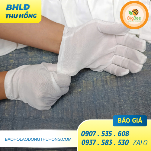 Găng tay thun trắng mỏng dành cho công việc nhẹ tại TPHCM Găng tay thun trắng mỏng dành cho công việc nhẹ tại TPHCM