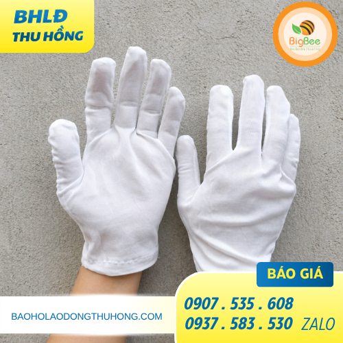 Găng tay thun trắng mỏng Găng tay thun trắng mỏng
