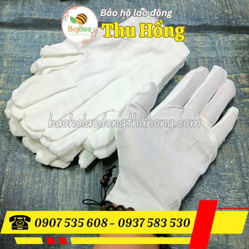 Găng tay thun trắng XL+4 Găng tay thun trắng XL+4