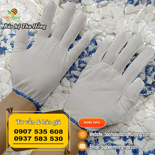 Găng tay vải poly T5 màu trắng cho nữ Găng tay vải poly T5 màu trắng cho nữ