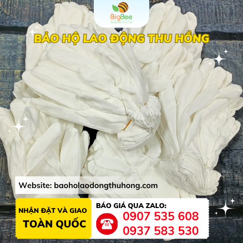 Găng tay vải thun L+2 đóng sẵn 10 đôi Găng tay vải thun L+2 đóng sẵn 10 đôi