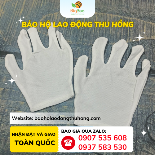Mẫu găng tay vải thun L+2 tại Thu Hồng Găng tay vải thun L+2 là gì