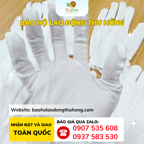 Găng tay vải thun L+2 mỏng nhẹ, êm tay Găng tay vải thun L+2 mỏng nhẹ, êm tay