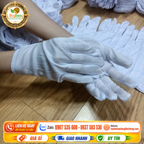 Găng tay vải thun trắng T10 dùng trong bốc xếp nhẹ Găng tay vải thun trắng T10 dùng trong bốc xếp nhẹ