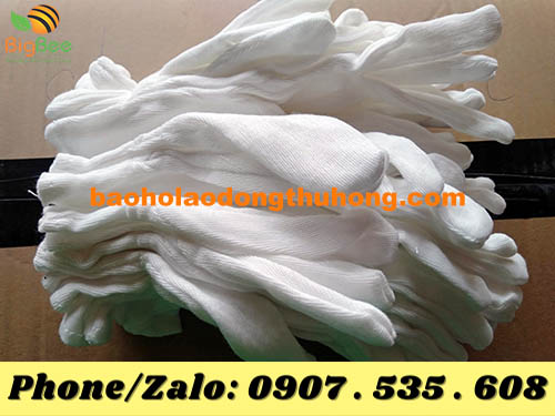 găng tay vải trắng PE dùng trong hội nghị, event giá bao nhiêu?