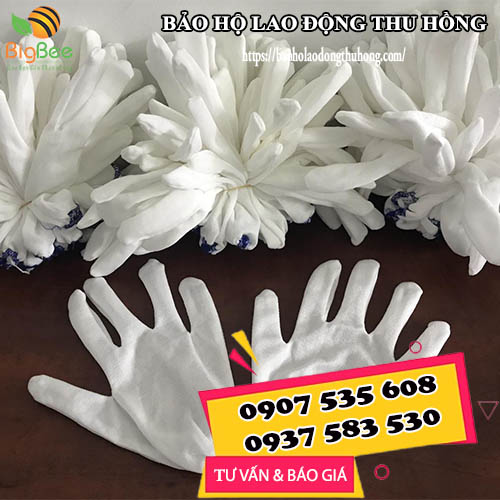 Găng tay vải trắng T5 giá sỉ rẻ Găng tay vải trắng T5 giá sỉ rẻ